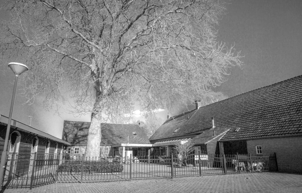 Bed En Box 3610 Bed and Breakfast Oirschot Εξωτερικό φωτογραφία