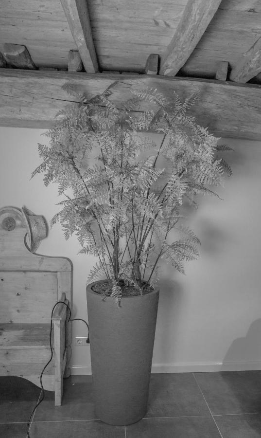 Bed En Box 3610 Bed and Breakfast Oirschot Εξωτερικό φωτογραφία